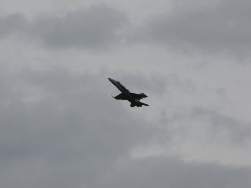 img_8460.jpg