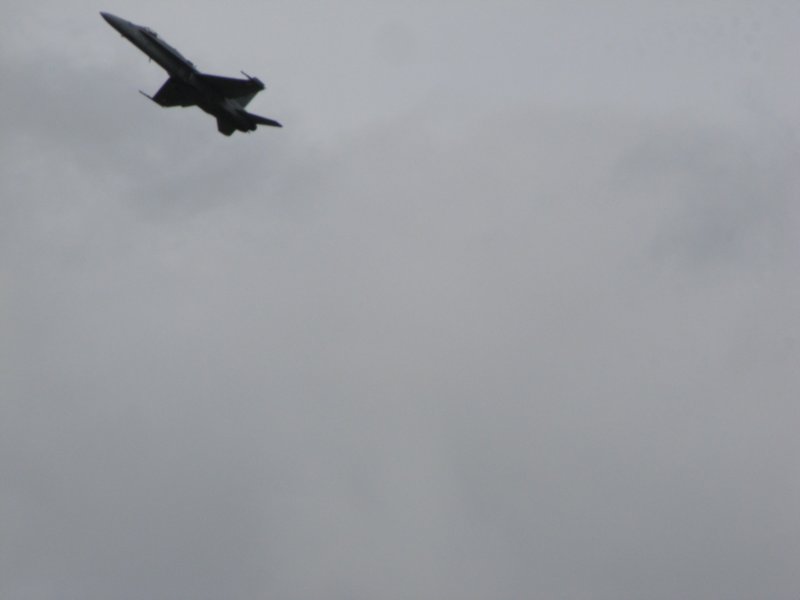 img_8462.jpg
