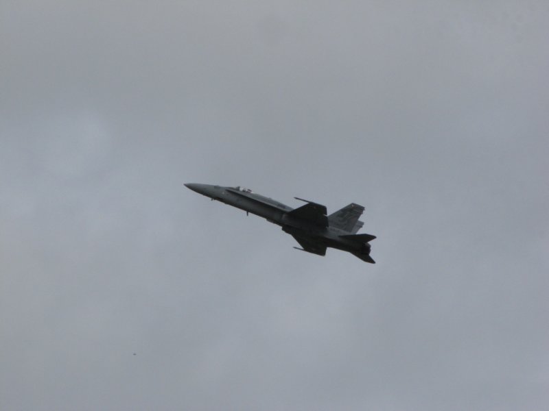 img_8464.jpg