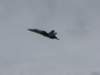 img_8465_small.jpg