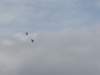 img_8529_small.jpg