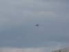 img_8537_small.jpg