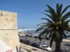 sep2014bari183_small.jpg