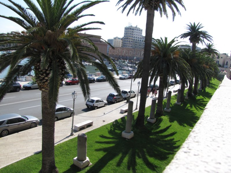 sep2014bari189.jpg