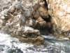 sep2014corfu146_small.jpg