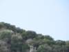 sep2014corfu157_small.jpg