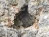 sep2014corfu246_small.jpg