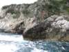 sep2014corfu253_small.jpg