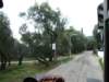 sep2014corfu379_small.jpg