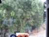 sep2014corfu416_small.jpg