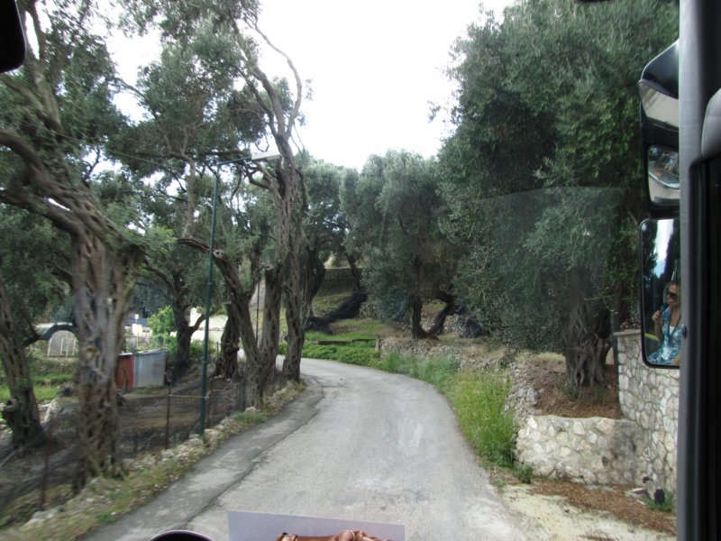 sep2014corfu423.jpg