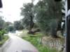 sep2014corfu424_small.jpg