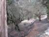 sep2014corfu562_small.jpg