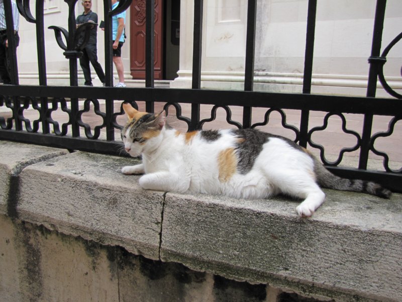 sep2014dubrovnik113.jpg
