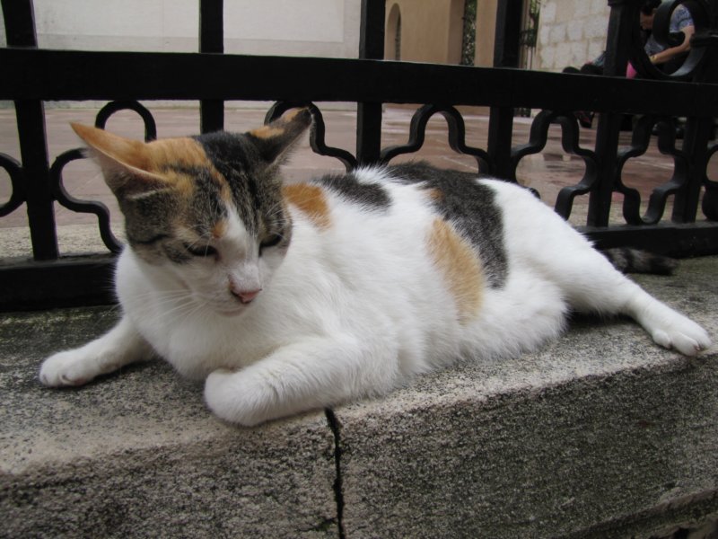 sep2014dubrovnik115.jpg