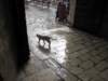 sep2014dubrovnik78_small.jpg