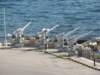 sep2014piraeus101_small.jpg