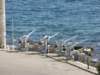 sep2014piraeus99_small.jpg