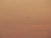 sep2014venice414_small.jpg