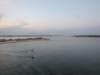 sep2014venice479_small.jpg