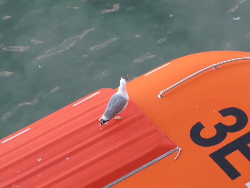 sep2014venice499.jpg