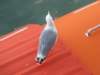 sep2014venice501_small.jpg