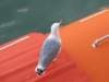 sep2014venice502_small.jpg