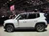 jeeprenegade22_small.jpg