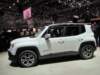 jeeprenegade34_small.jpg