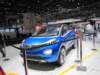 tatanexon2_small.jpg