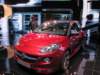 opeladams10_small.jpg
