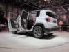 jeeprenegade103_small.jpg