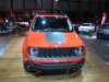 jeeprenegade113_small.jpg