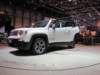 jeeprenegade115_small.jpg