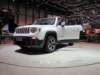 jeeprenegade12_small.jpg