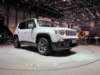 jeeprenegade16_small.jpg