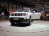 jeeprenegade17_small.jpg