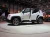 jeeprenegade23_small.jpg