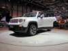 jeeprenegade25_small.jpg