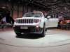 jeeprenegade27_small.jpg