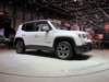 jeeprenegade30_small.jpg