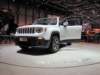 jeeprenegade34_small.jpg