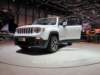jeeprenegade37_small.jpg