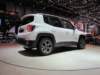 jeeprenegade42_small.jpg