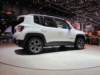 jeeprenegade49_small.jpg