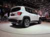 jeeprenegade60_small.jpg