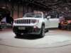 jeeprenegade77_small.jpg