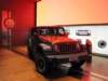 jeepwranglerunlimitedrubicon7_small.jpg