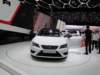 seatleoncupra18_small.jpg