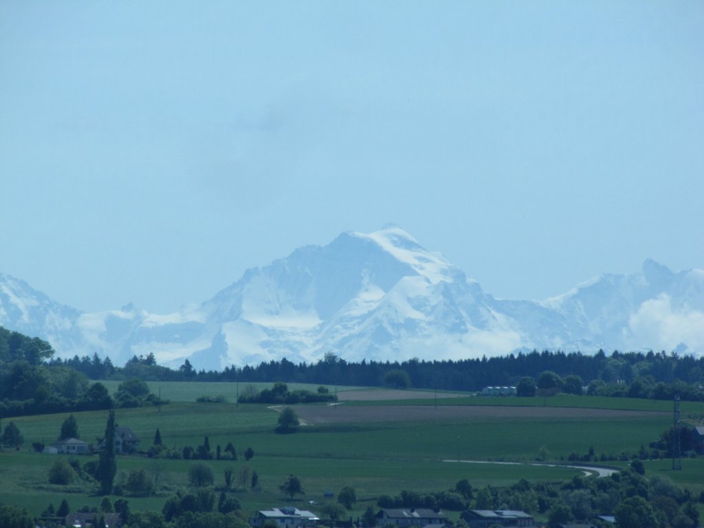 img_6887.jpg
